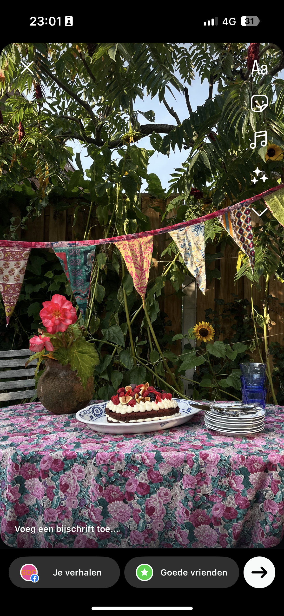 Birthday decorations (2,5 meter)